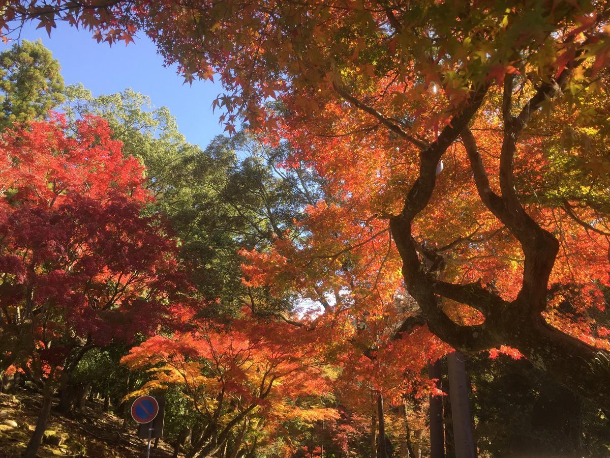 The Deer Park Inn Nara Exterior foto